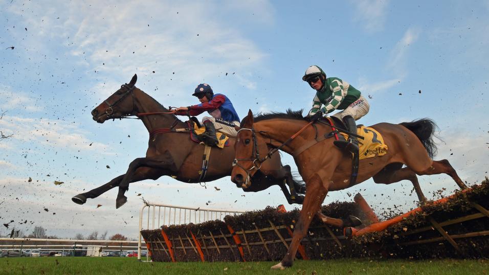 Jumps racehorse Paisley Park